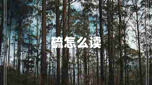 硫怎么讀