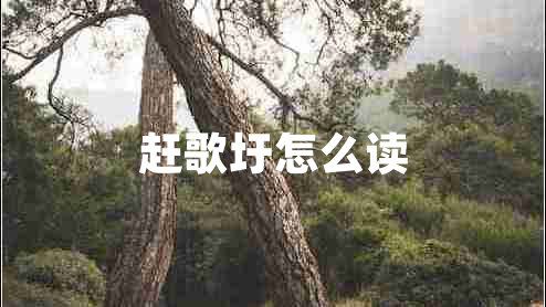 趕歌圩怎么讀