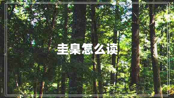 圭臬怎么讀