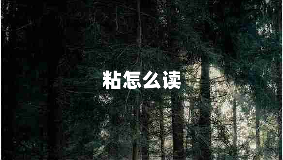 粘怎么讀