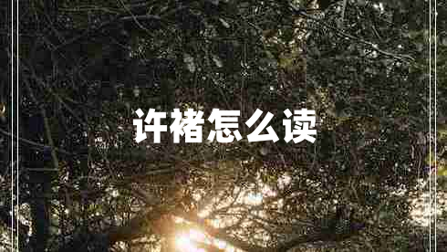 許褚怎么讀