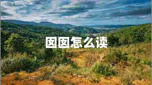 囡囡怎么讀
