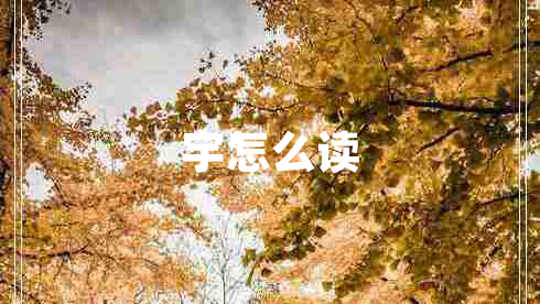 宇怎么讀