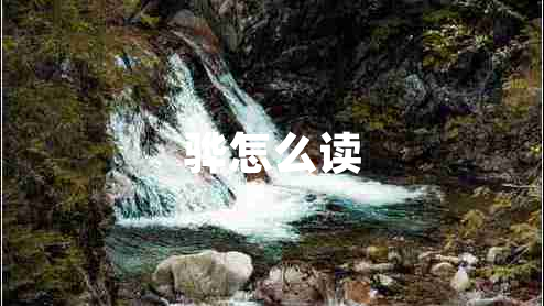 驊怎么讀