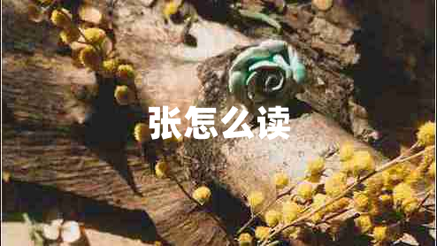 張怎么讀