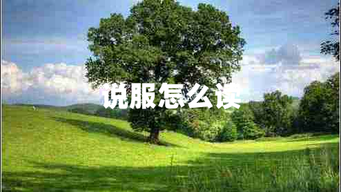 說(shuō)服怎么讀