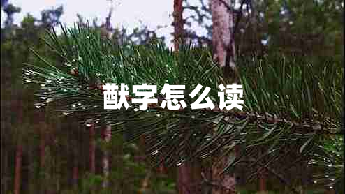 猷字怎么讀
