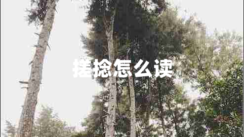 搓捻怎么讀