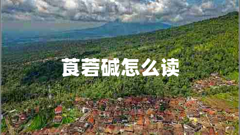 莨菪堿怎么讀