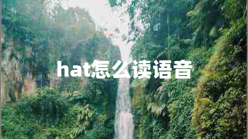 hat怎么讀語(yǔ)音
