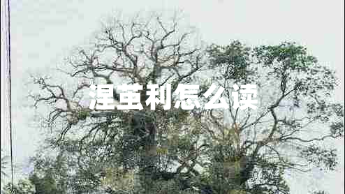 涅繭利怎么讀