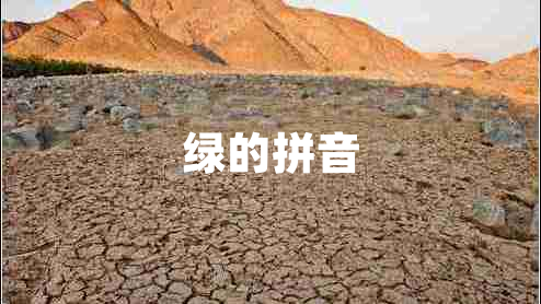 綠的拼音