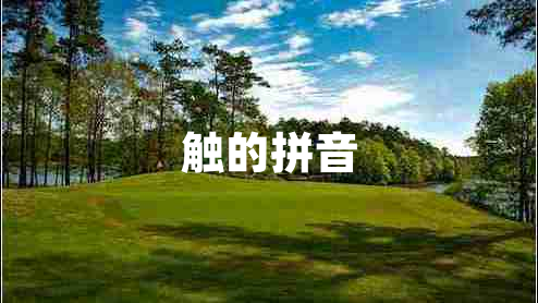 觸的拼音