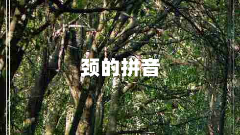 頸的拼音