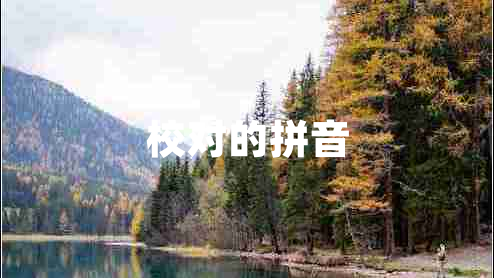 校對的拼音