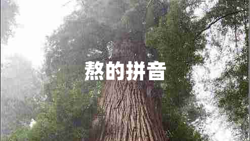熬的拼音