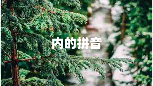 內的拼音