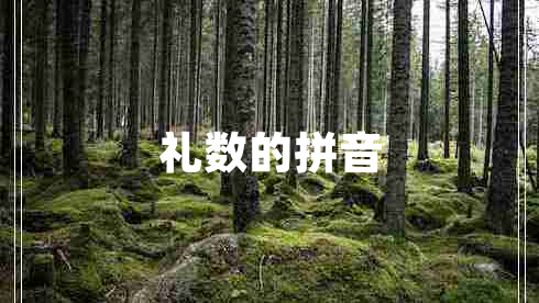 禮數的拼音