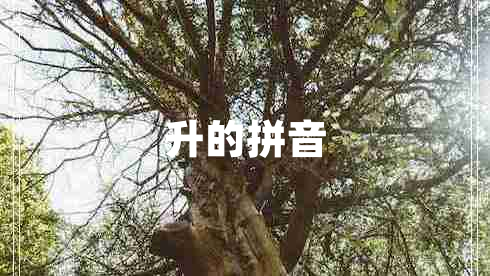 升的拼音