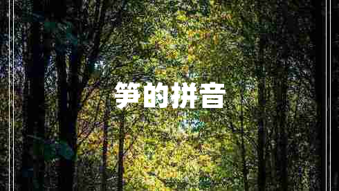 筍的拼音