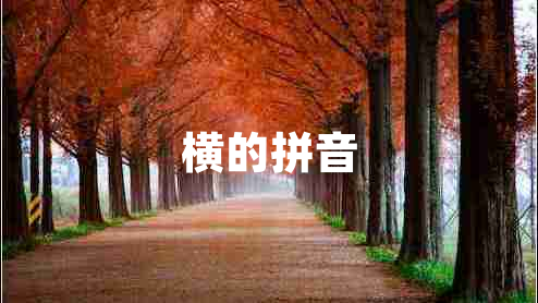 橫的拼音 橫的拼音