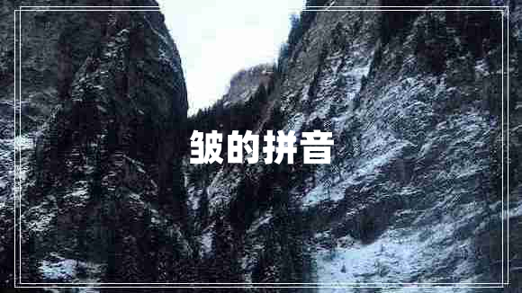 皺的拼音