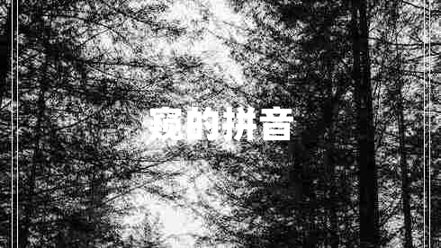 窺的拼音