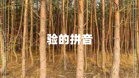 驗(yàn)的拼音 驗(yàn)的拼音