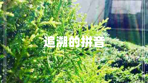 追溯的拼音
