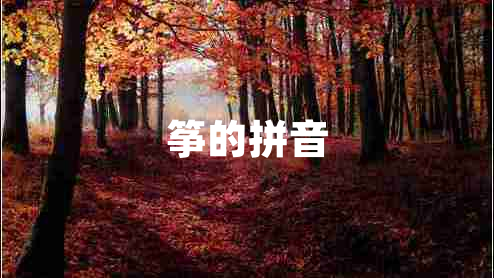 箏的拼音