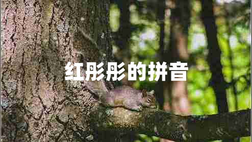 紅彤彤的拼音