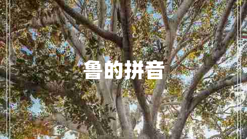 魯的拼音