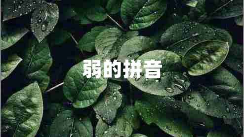 弱的拼音