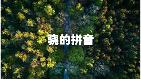 驍的拼音