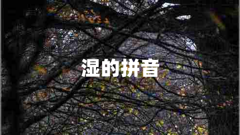 濕的拼音