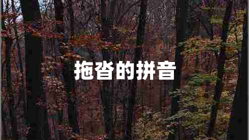 拖沓的拼音 拖沓的拼音