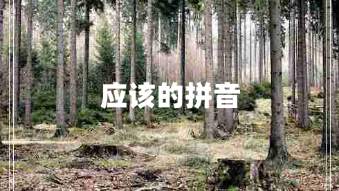 應該的拼音
