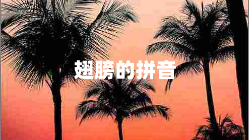 翅膀的拼音