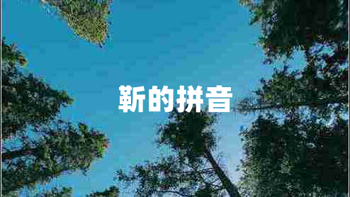 靳的拼音