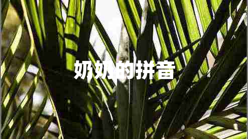 奶奶的拼音 奶奶的拼音