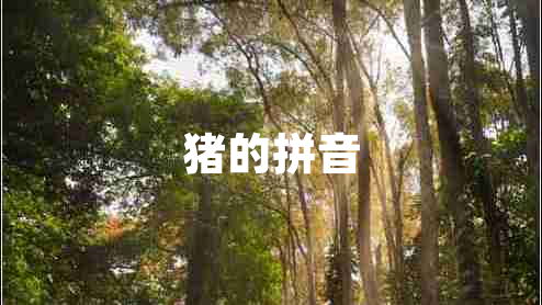 豬的拼音