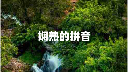 嫻熟的拼音