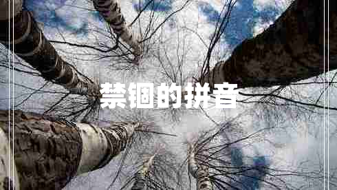 禁錮的拼音