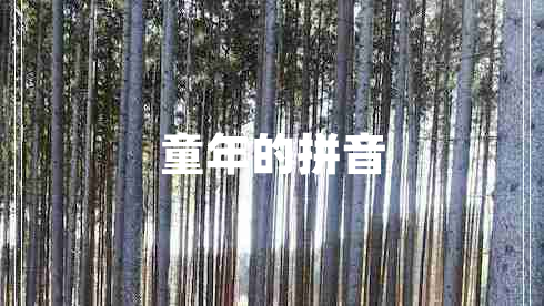 童年的拼音