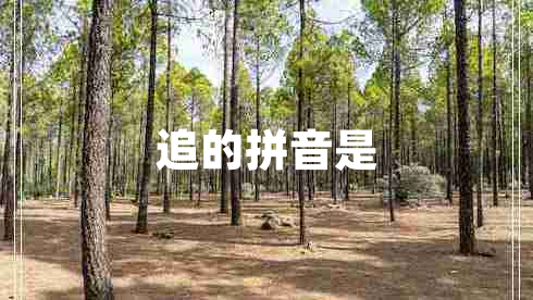 追的拼音是