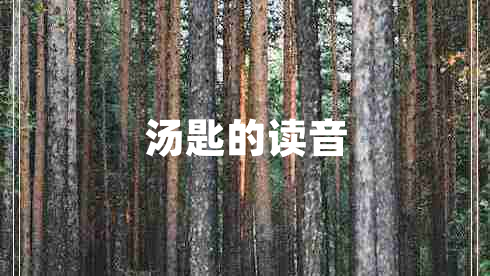 湯匙的讀音