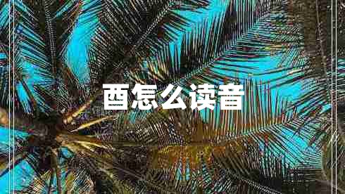酉怎么讀音