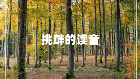 挑釁的讀音