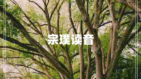 宗璞讀音