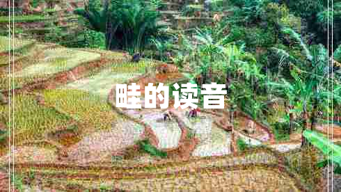 畦的讀音